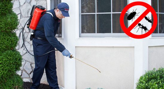 Sultandağı Bit İlaçlama böcek ilaçlama ve haşere kontrolü — ilaclama-tr.com